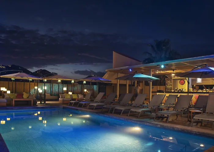 Mayan Monkey Cabos - Adults Only Guest house