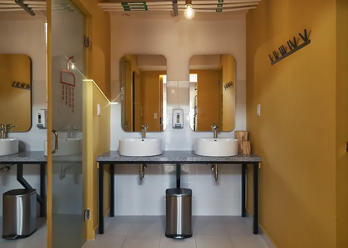 Mayan Monkey Cabos - Adults Only Guest house