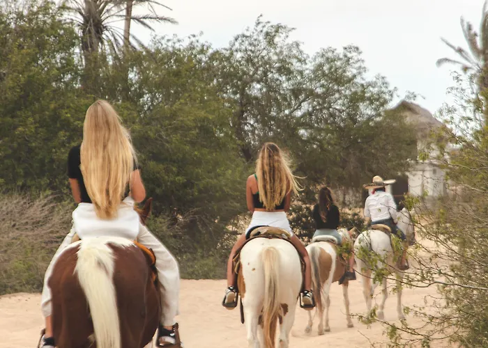 Mayan Monkey Cabos - Adults Only