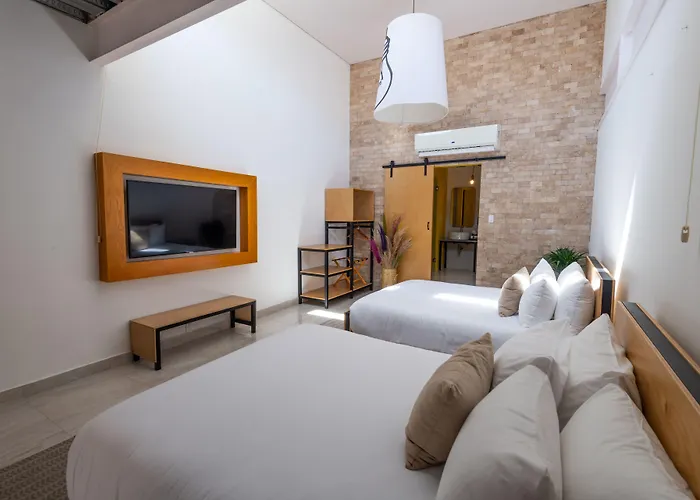 Mayan Monkey Cabos - Adults Only Guest house Cabo San Lucas