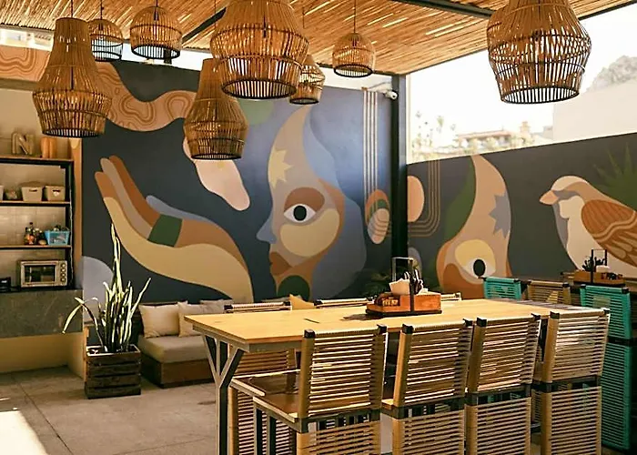 Guest house Mayan Monkey Cabos - Adults Only Cabo San Lucas
