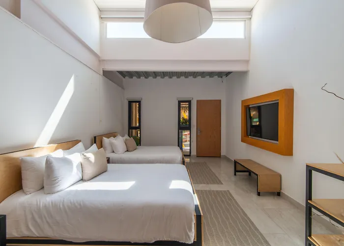 Mayan Monkey Cabos - Adults Only Guest house Cabo San Lucas