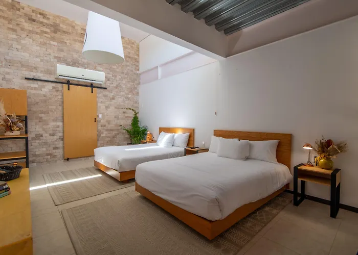 Guest house Mayan Monkey Cabos - Adults Only 2*